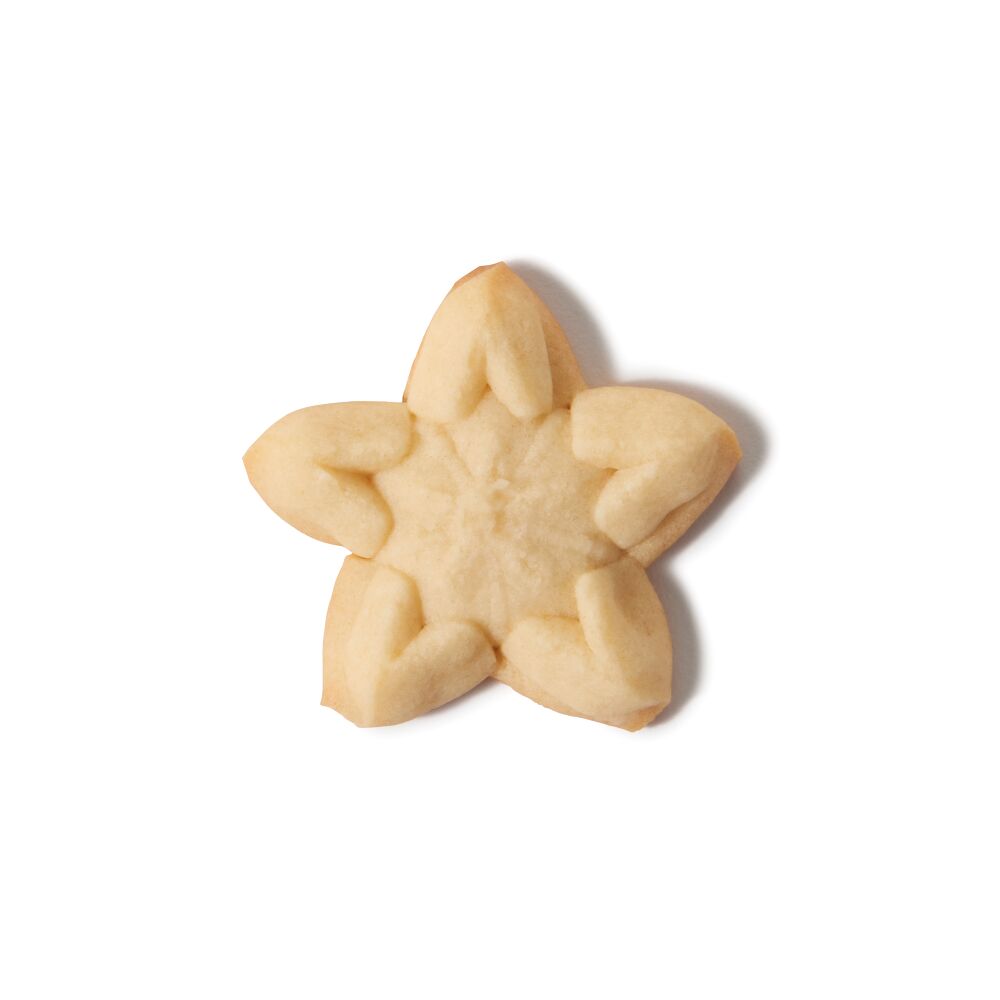 Christmas Cookie Press Disk Set I9