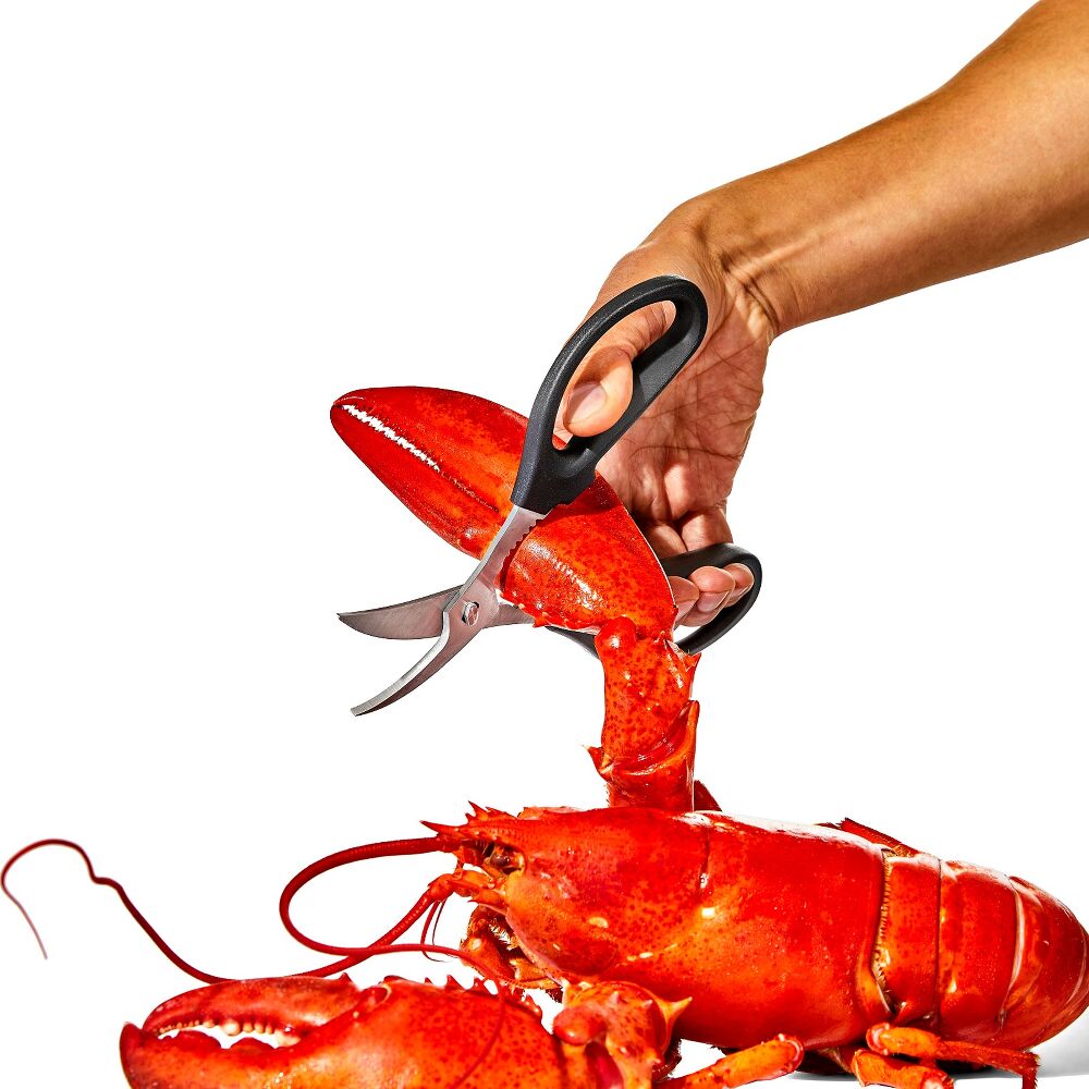 Seafood Scissors F7