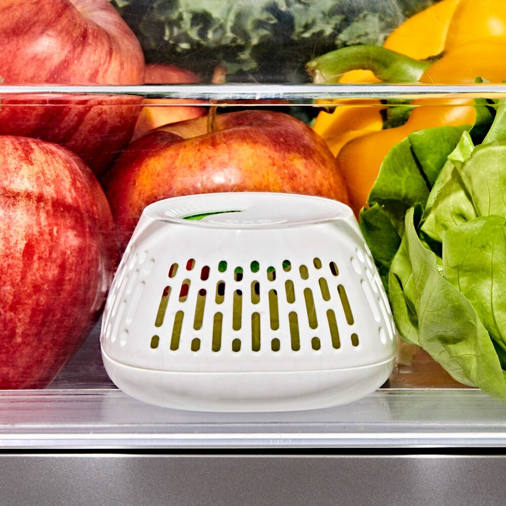 Produce Saver Crisper Drawer Insert 2-Pack L3