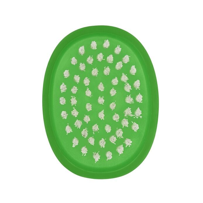 Vegetable Brush H5