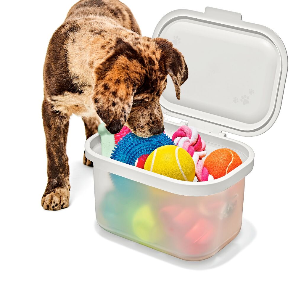 OXO Pet Multi-Purpose Container O1