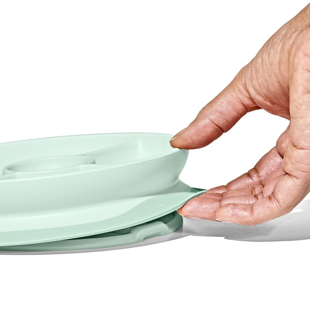 Stick & Stay Suction Divided Plate V7