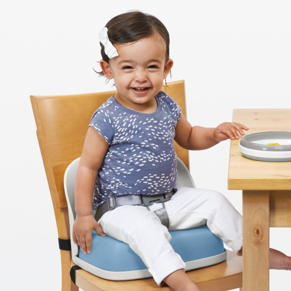 Perch Booster Seat With Straps V4