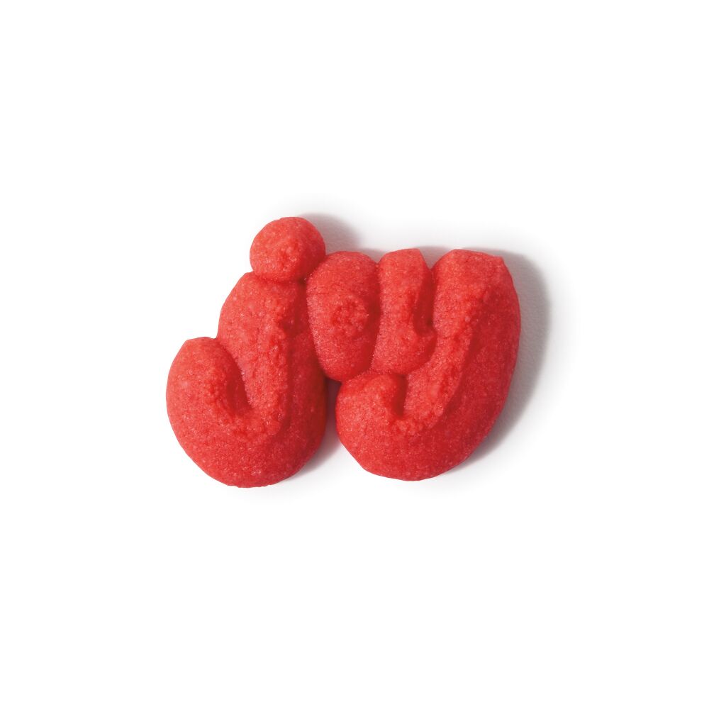 Christmas Cookie Press Disk Set I9