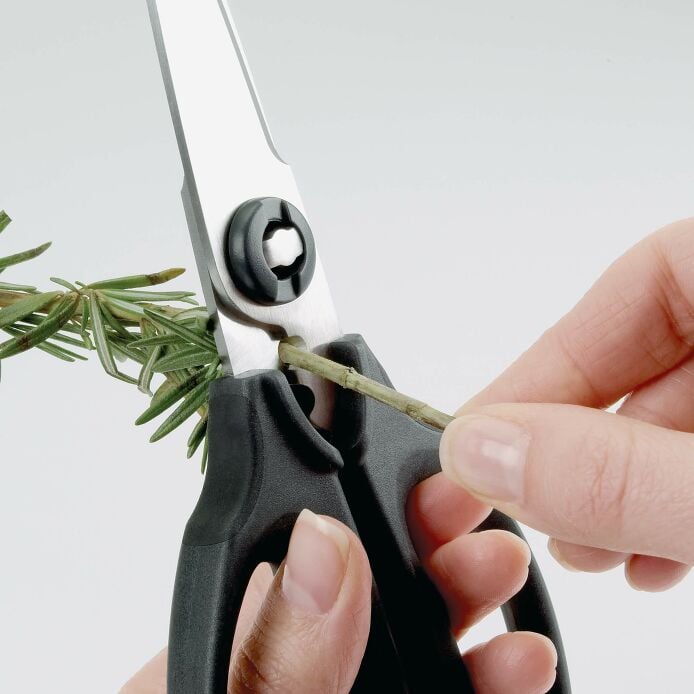 Kitchen And Herb Scissors H8