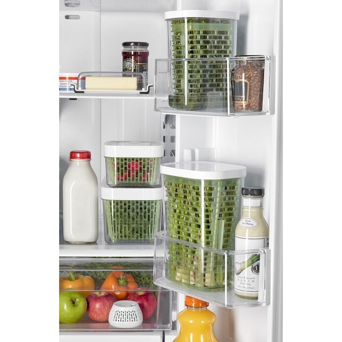 GreenSaver Standing Crisper Insert - 1 Pc C8