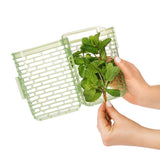 GreenSaver Herb Keeper - Small H6