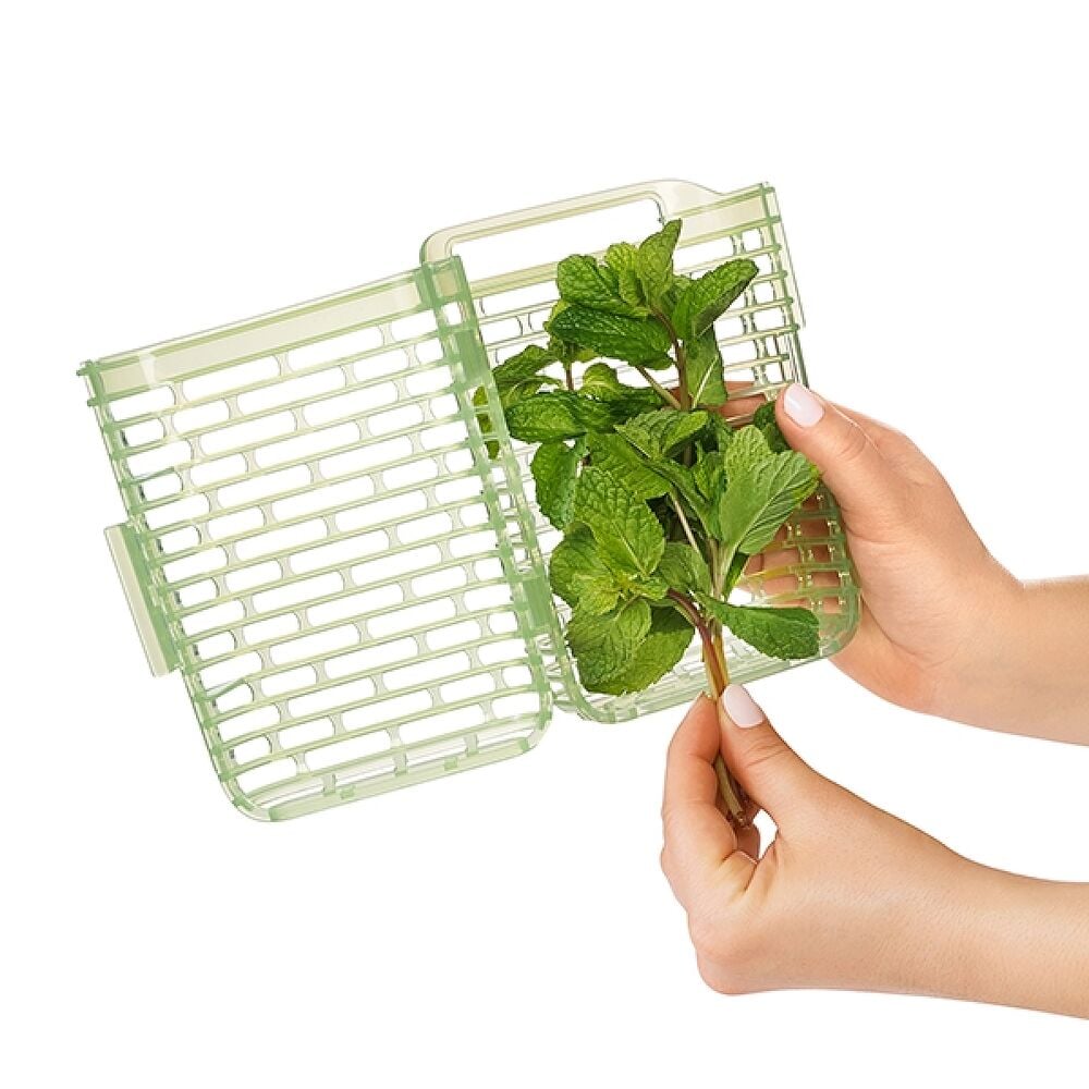 GreenSaver Herb Keeper - Small H6