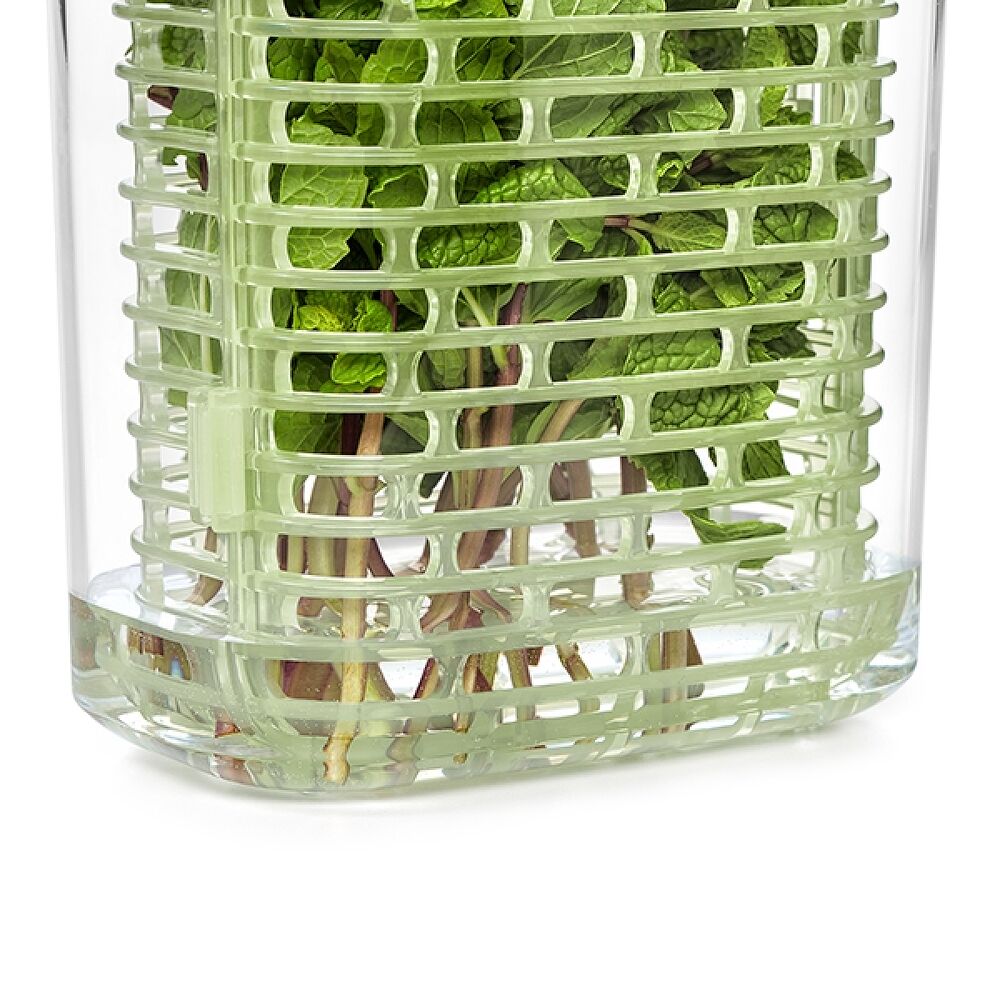 GreenSaver Herb Keeper - Small H6