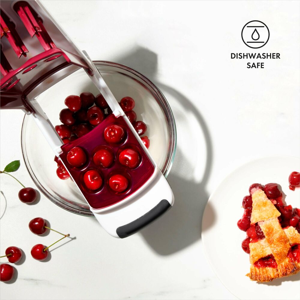 Quick-Release Multi Cherry Pitter R1