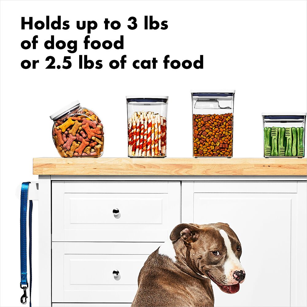OXO Good Grips Pet POP Container – 3.3 Qt/3.1 L G6