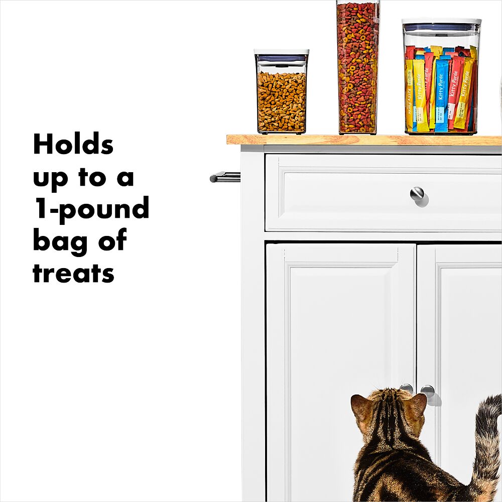OXO Good Grips Pet POP Container – 1.1 Qt/1 L M3