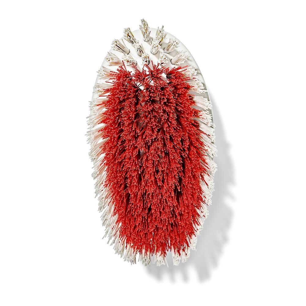 All-Purpose Scrub Brush 2-Pack B9