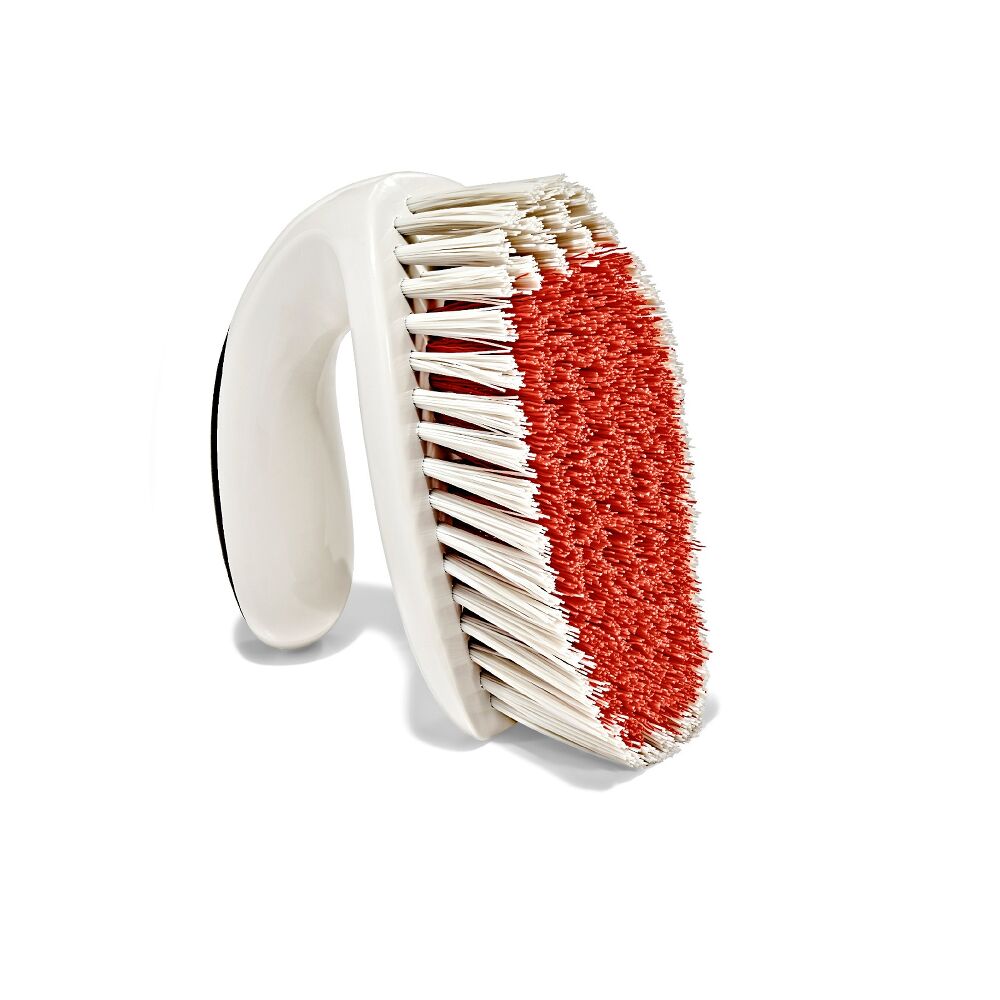 All-Purpose Scrub Brush 2-Pack S9