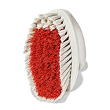 All-Purpose Scrub Brush 2-Pack B9