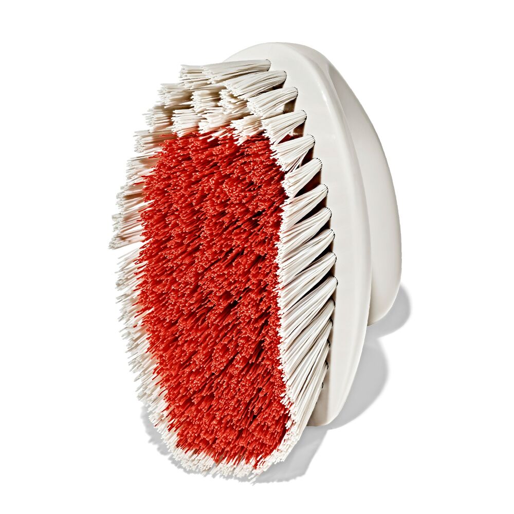 All-Purpose Scrub Brush 2-Pack B9