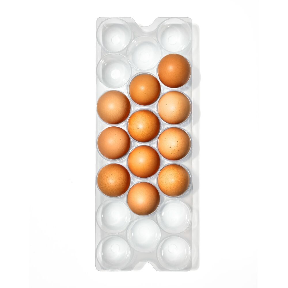 Refrigerator Egg Bin With Removable Tray R0
