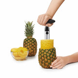 Stainless Steel Pineapple Slicer Q3