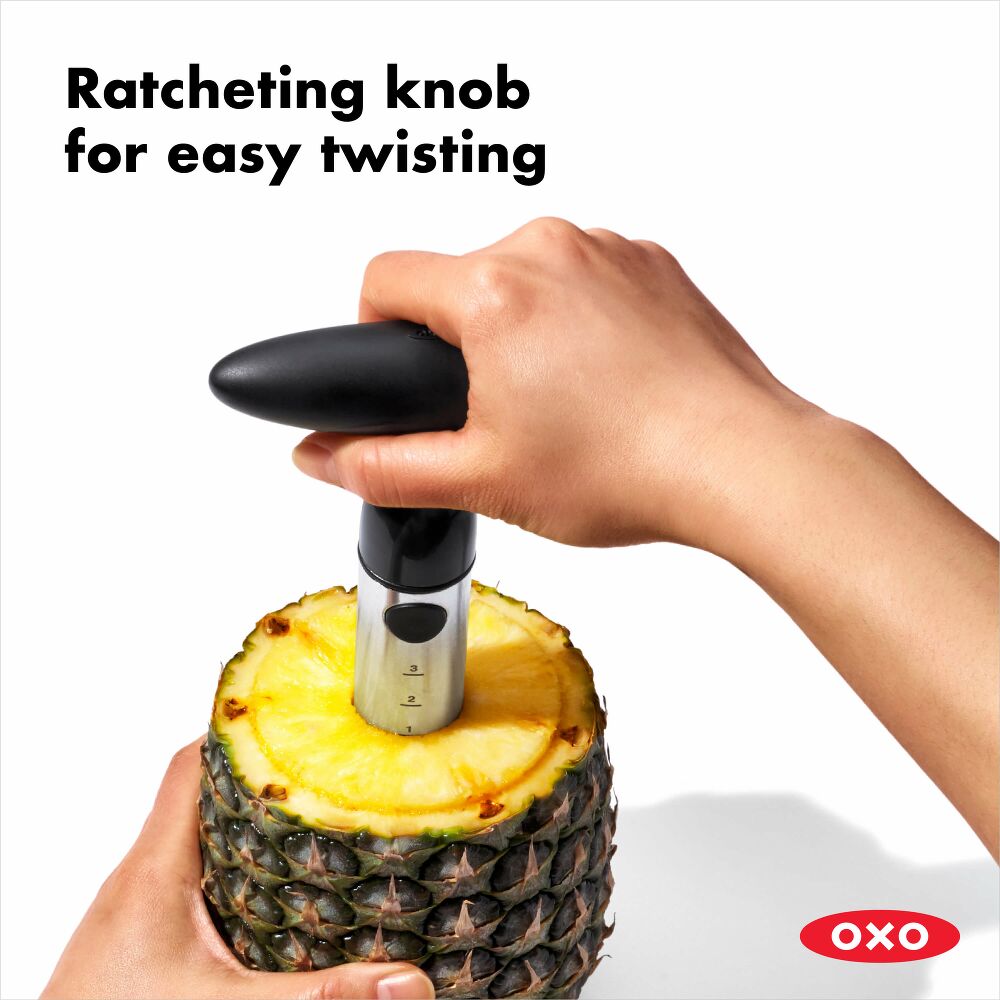 Stainless Steel Pineapple Slicer Q3