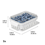 Produce Saver - Berry Keeper 2-Piece Set W4