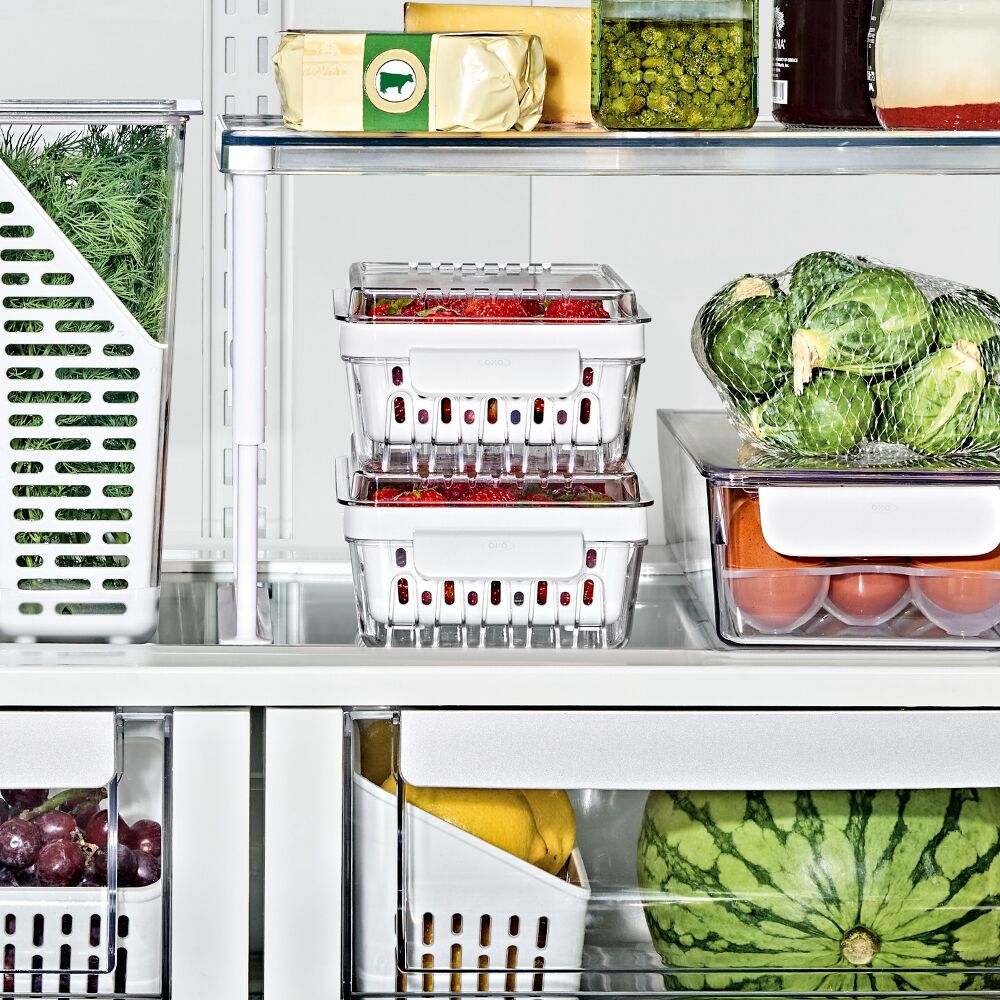 Produce Saver - Berry Keeper 2-Piece Set W4