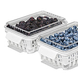 Produce Saver - Berry Keeper 2-Piece Set W4