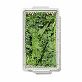 Produce Saver - Medium Bin C1