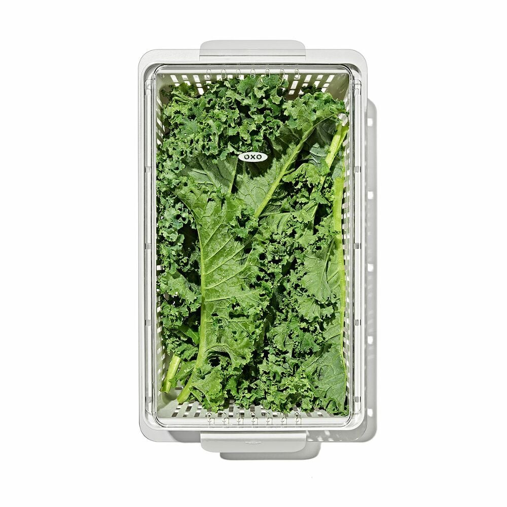 Produce Saver - Medium Bin C1