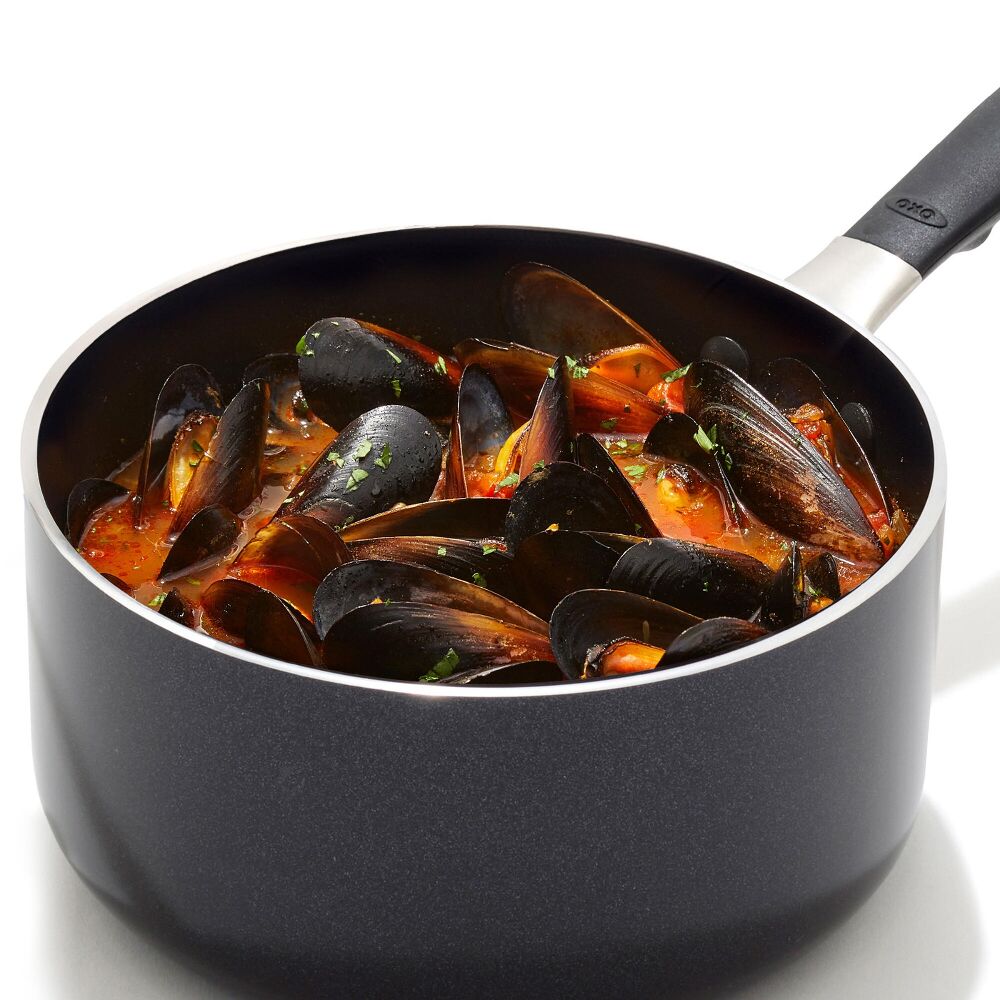 Non-Stick Pro Every Day 1.6 Qt Saucepan with Lid F9