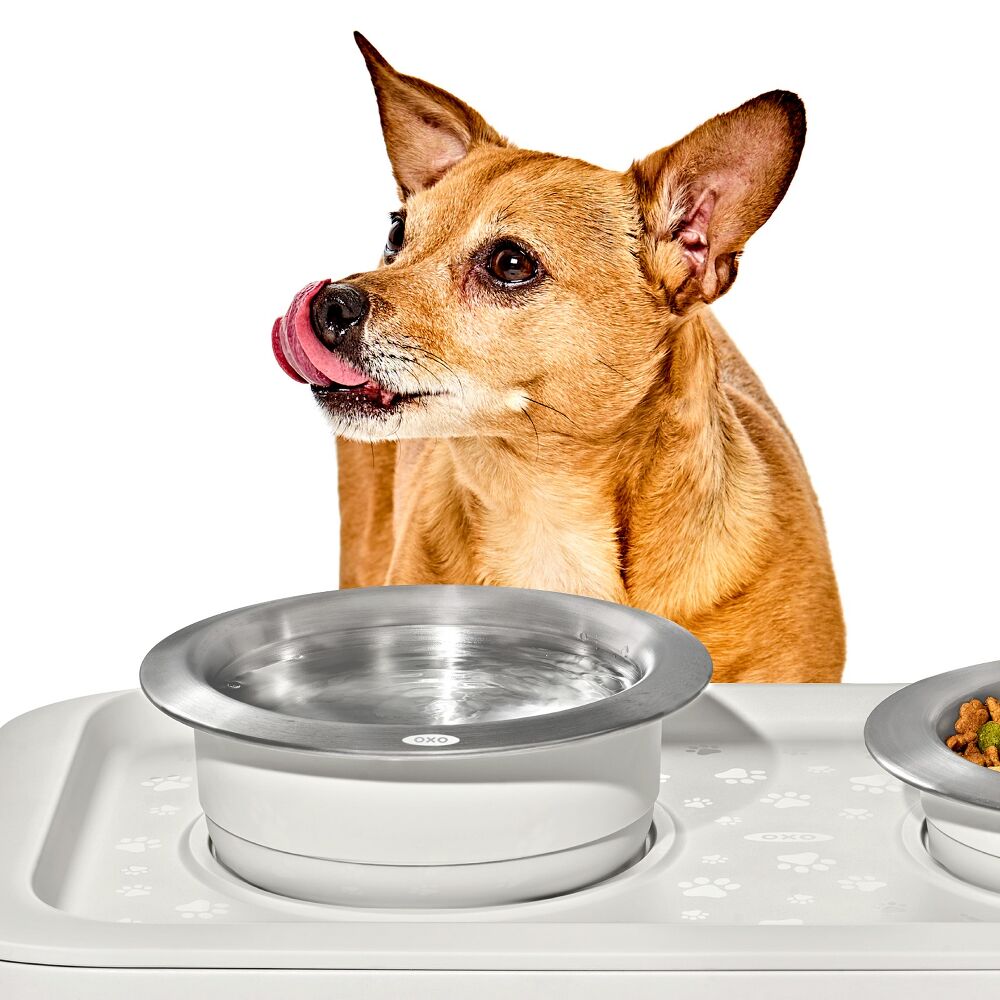 OXO Pet Nonslip Bowl - Medium, 2 Cups / 480 mL Z0