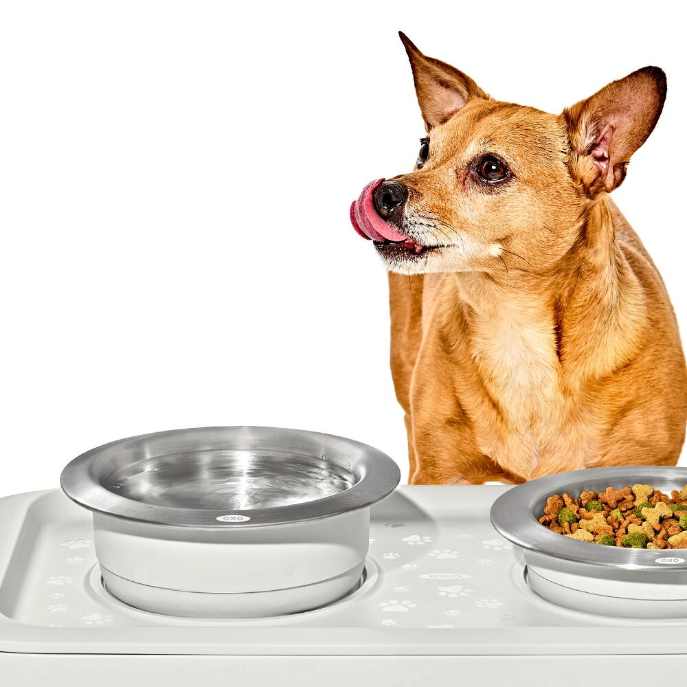 OXO Pet Nonslip Bowl - Large, 4 Cups / 950 mL B5