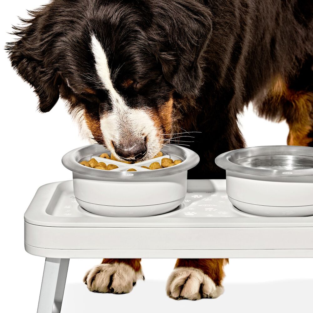 OXO Pet Easy-Clean Slow Feeder - Medium, 2 Cups/489 mL P9