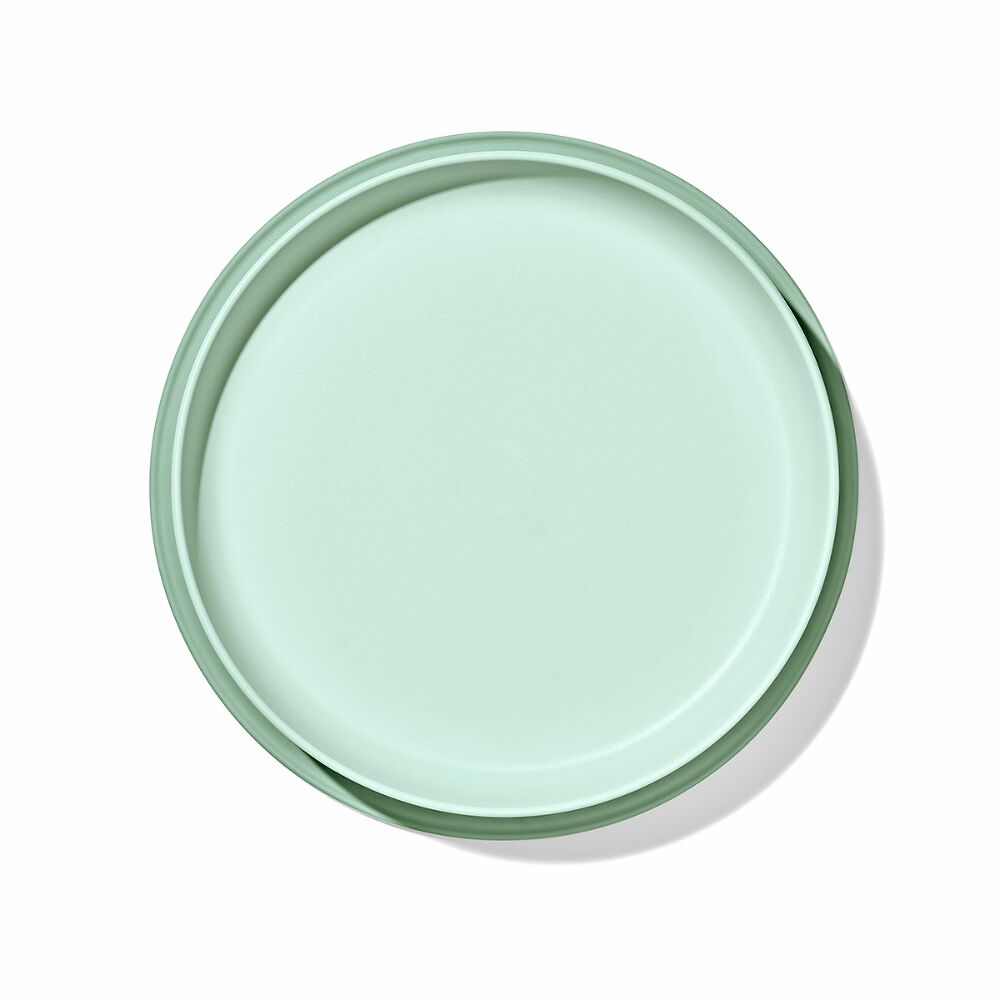 Stick & Stay Suction Plate R9